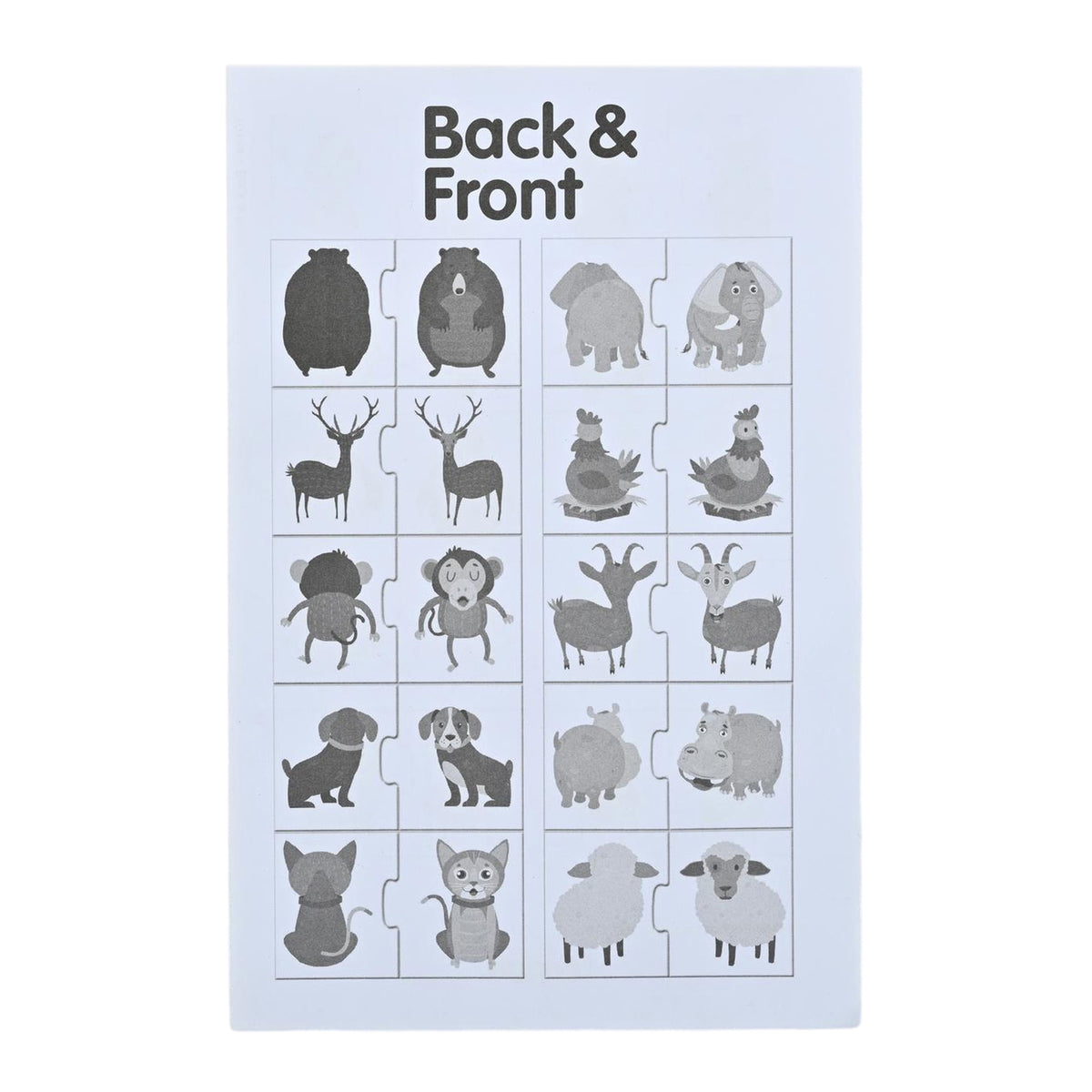 Back & Front