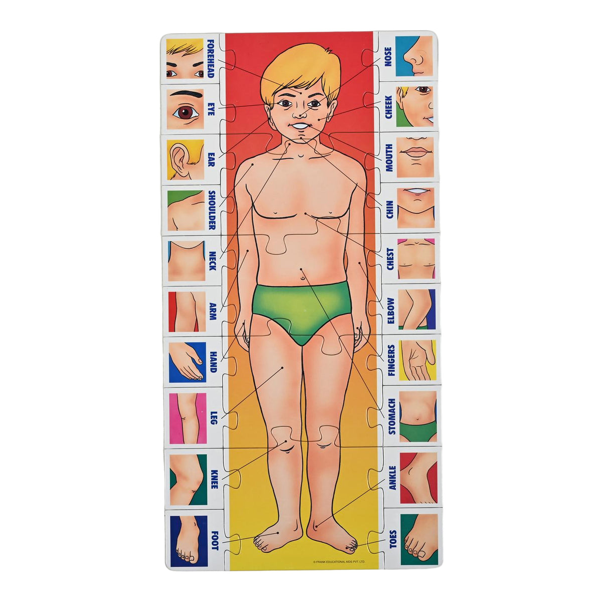 Parts of My Body