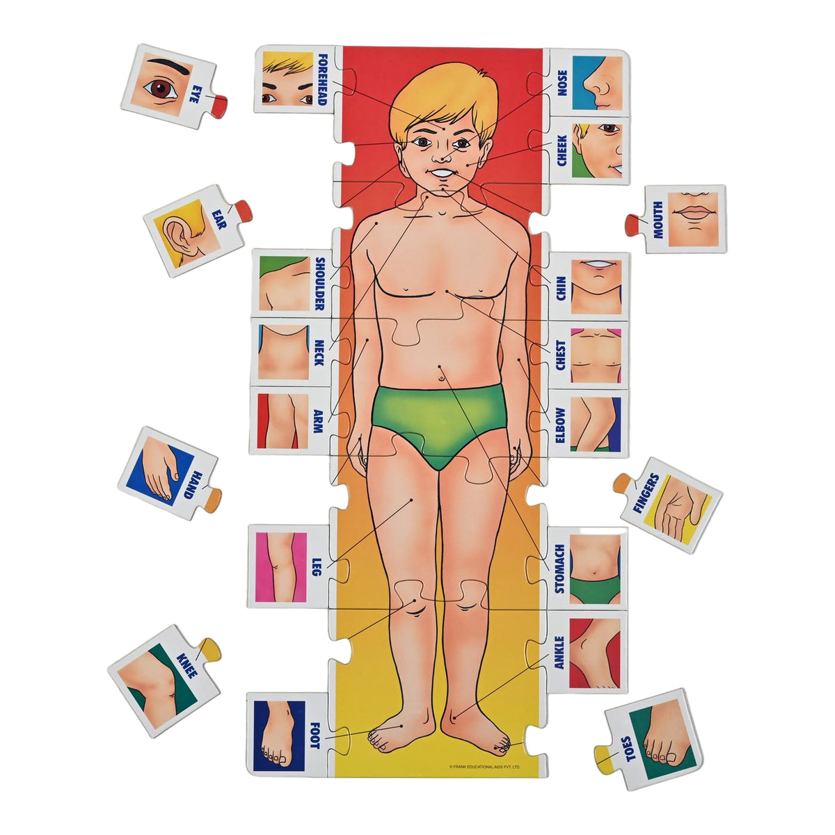 Parts of My Body