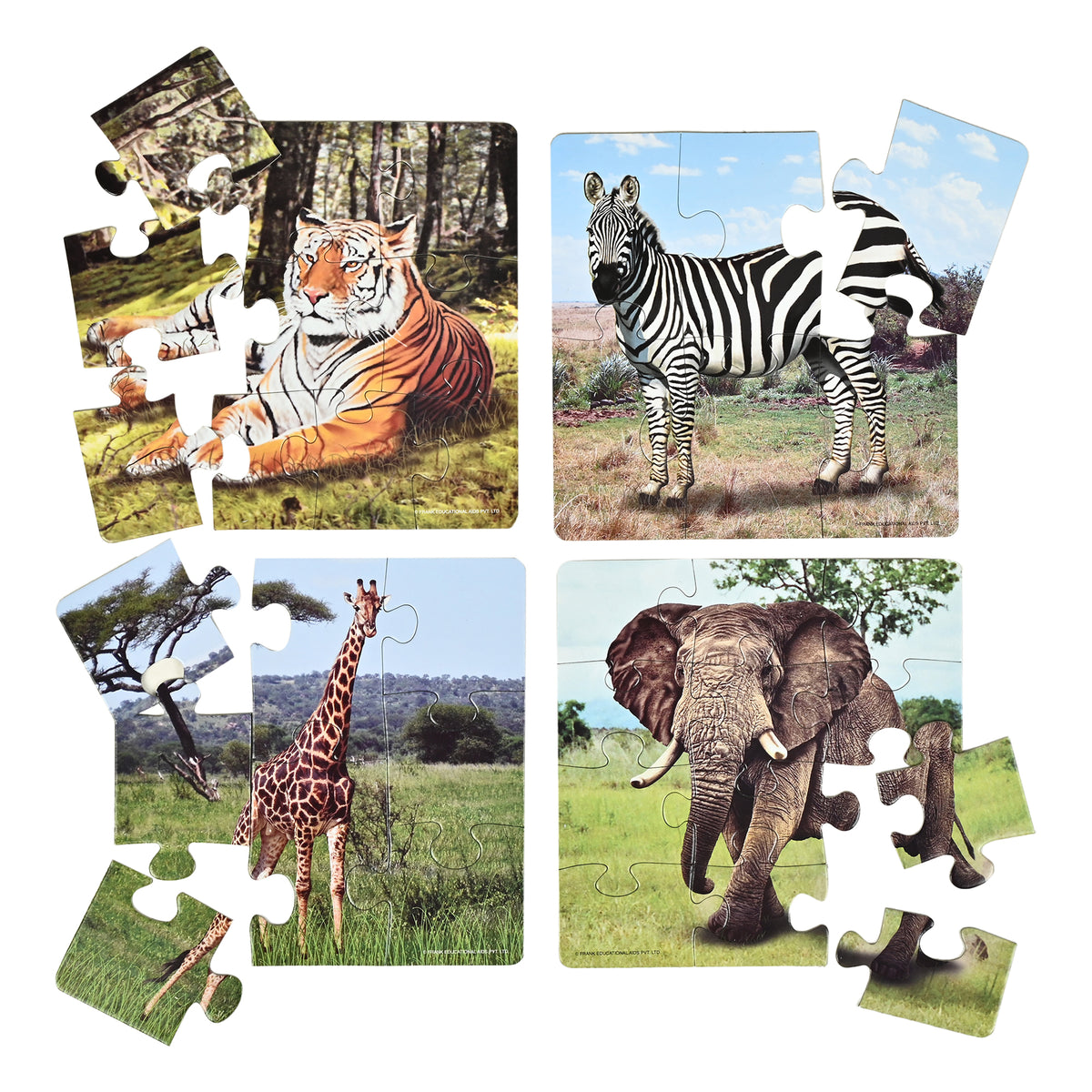 In the Jungle 4 Puzzles in 1 (6, 8, 10, 12 Pieces)