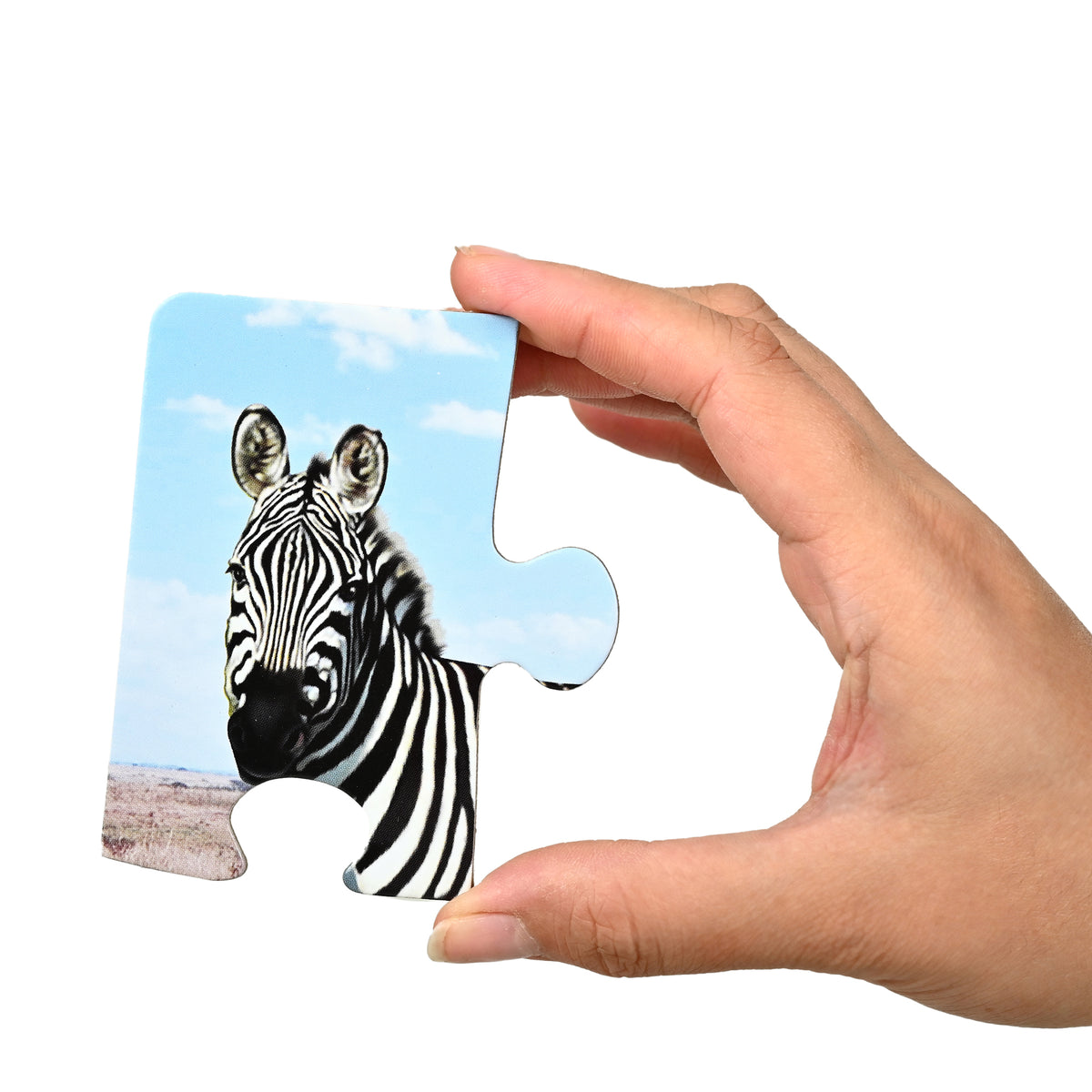 In the Jungle 4 Puzzles in 1 (6, 8, 10, 12 Pieces)