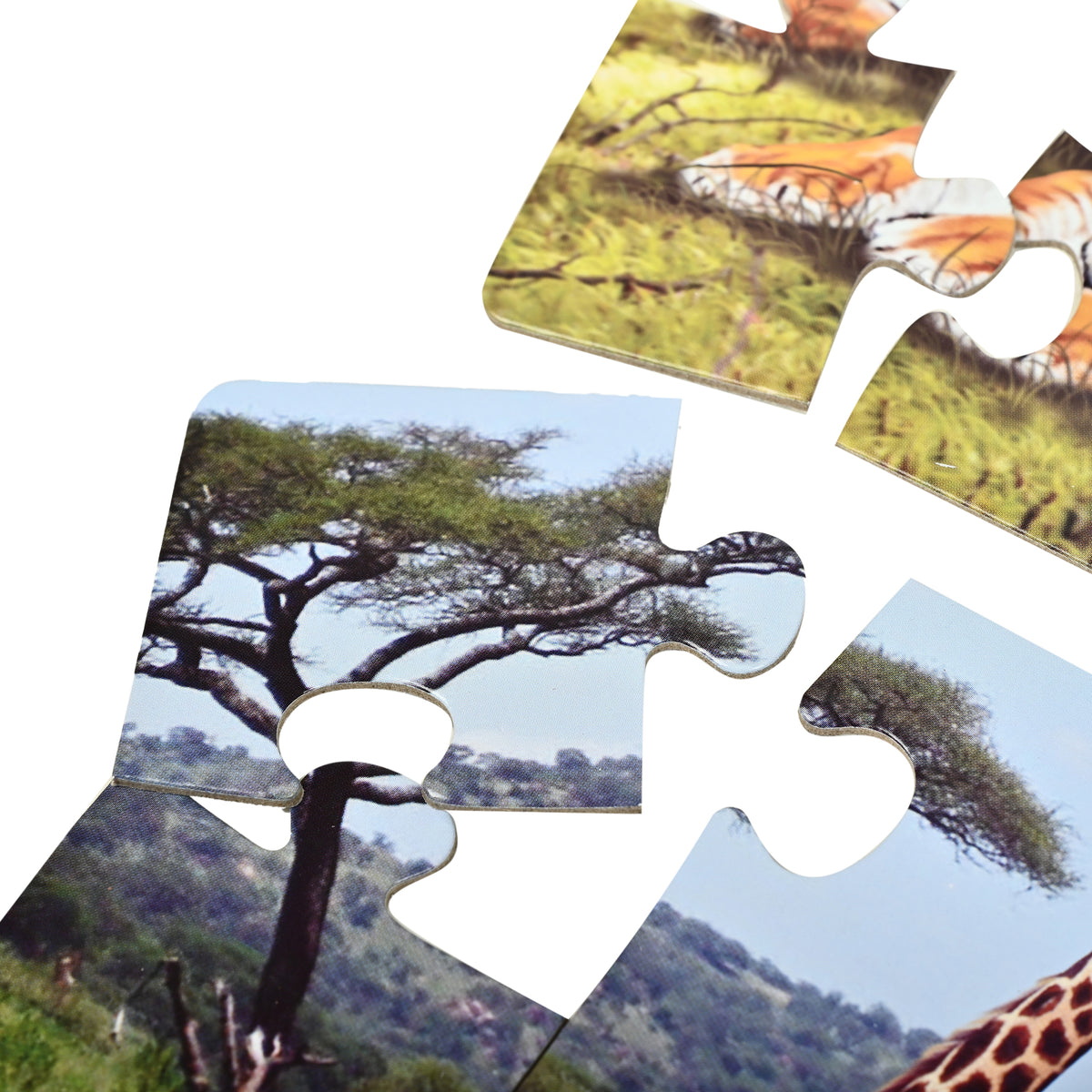 In the Jungle 4 Puzzles in 1 (6, 8, 10, 12 Pieces)