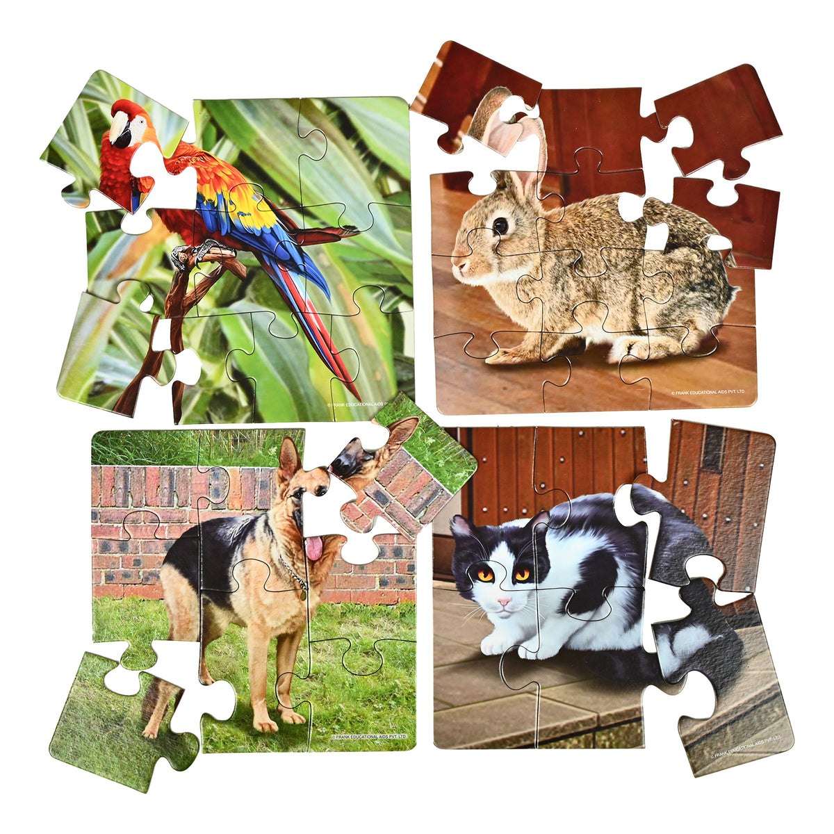 My Pets 4 Puzzles in 1 (6, 8, 10, 12 Pieces)