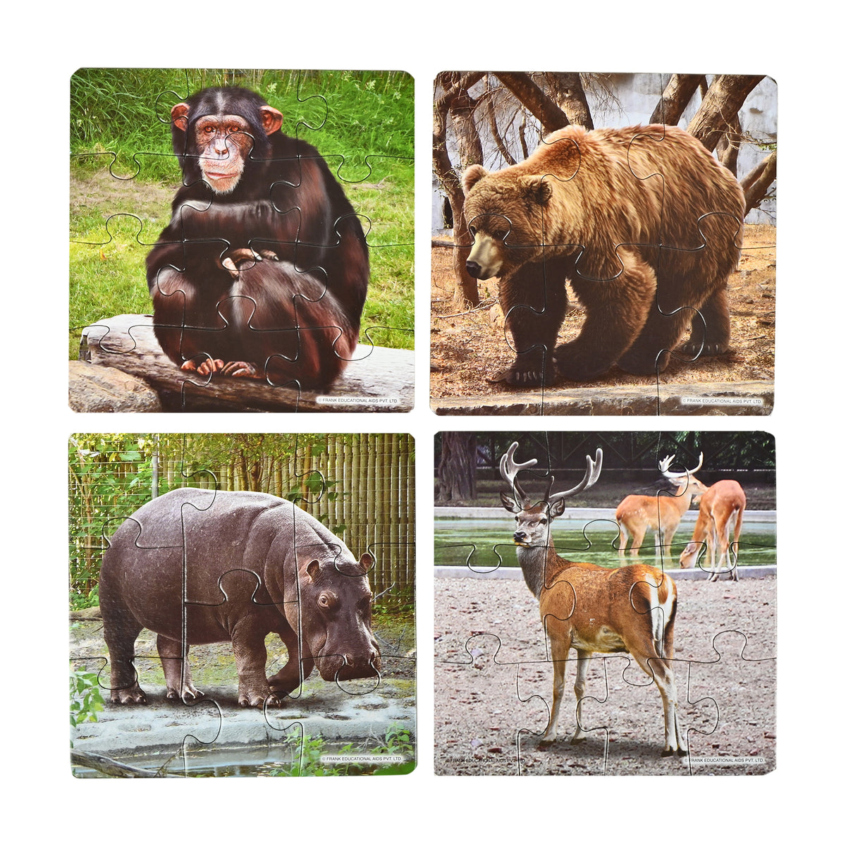 In the Zoo 4 Puzzles in 1 (6, 8, 10, 12 Pieces)