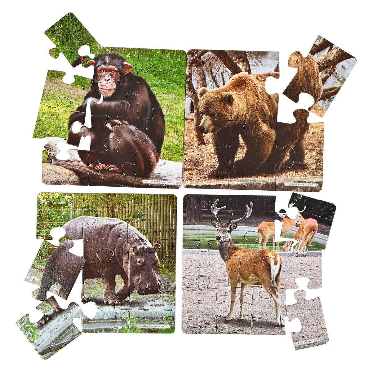 In the Zoo 4 Puzzles in 1 (6, 8, 10, 12 Pieces)
