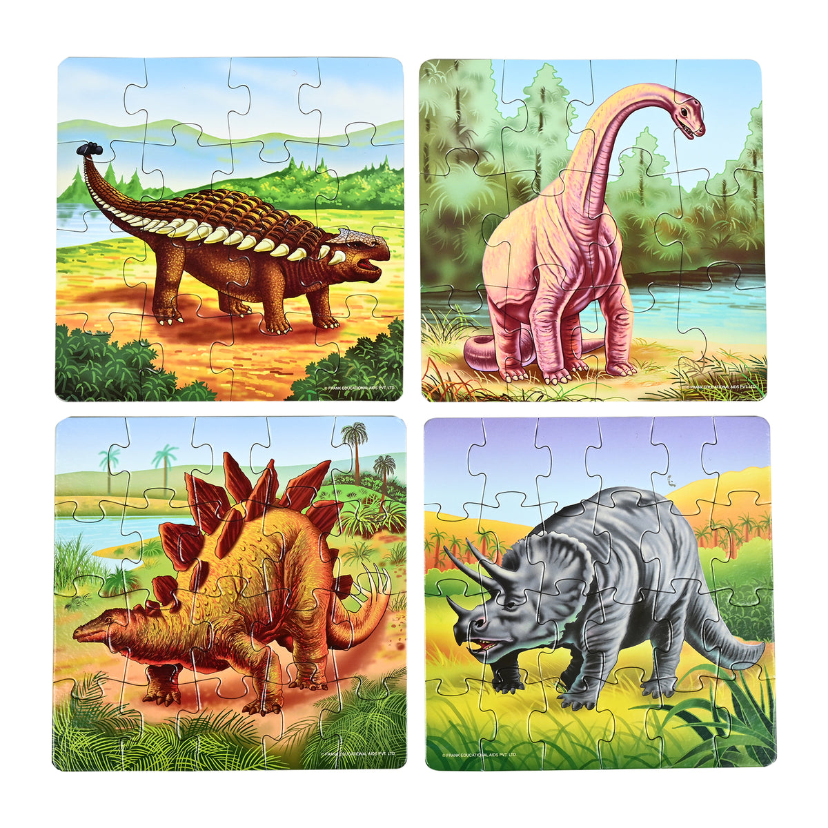 Dinosaurs 4 Puzzles in 1 (12, 16, 20, 24 Pieces)