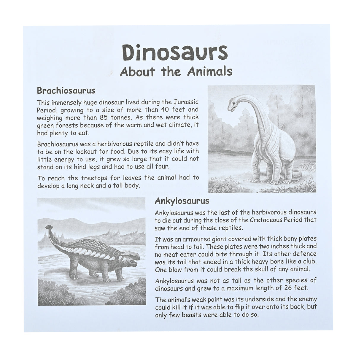 Dinosaurs 4 Puzzles in 1 (12, 16, 20, 24 Pieces)