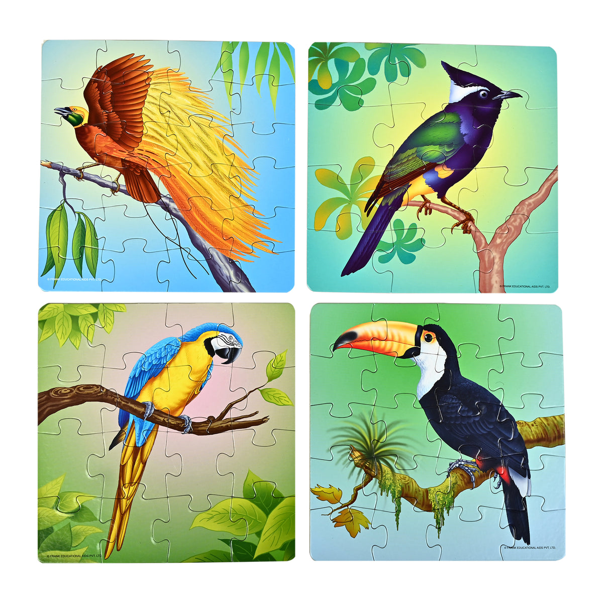 Exotic Birds 4 Puzzles in 1 (12, 16, 20, 24 Pieces)