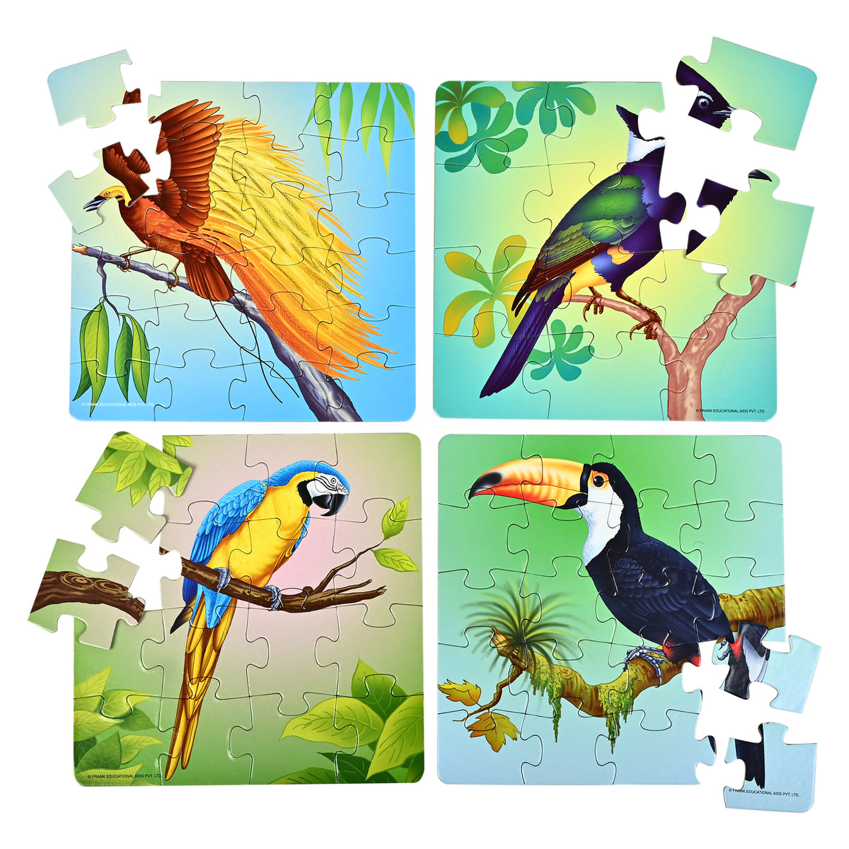 Exotic Birds 4 Puzzles in 1 (12, 16, 20, 24 Pieces)
