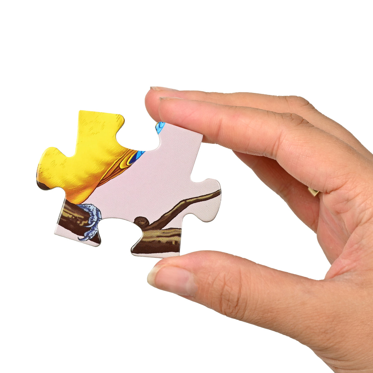 Exotic Birds 4 Puzzles in 1 (12, 16, 20, 24 Pieces)