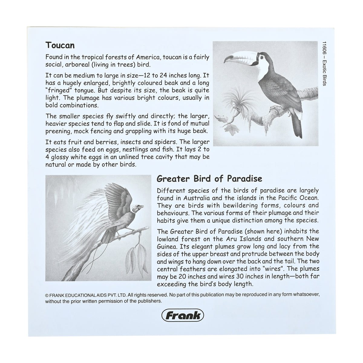 Exotic Birds 4 Puzzles in 1 (12, 16, 20, 24 Pieces)
