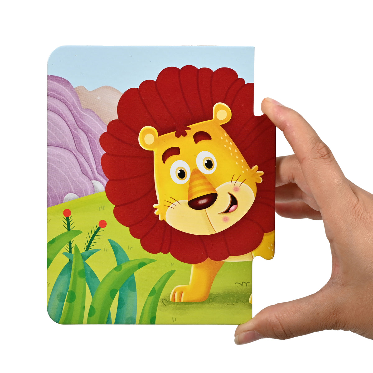 Safari Adventures