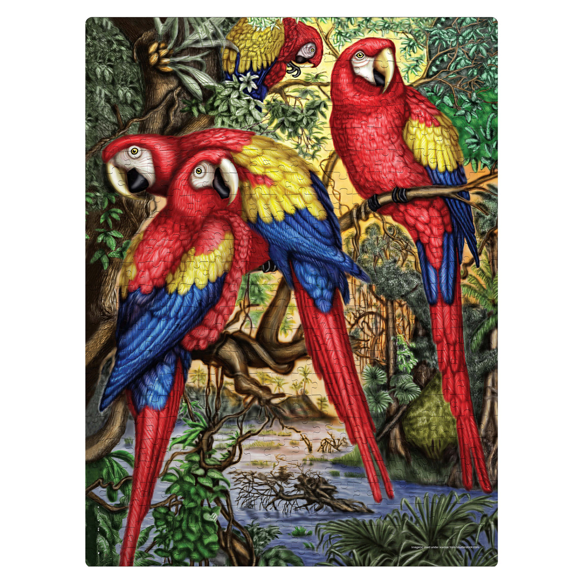 Macaw Parrots 500 Pieces Puzzle