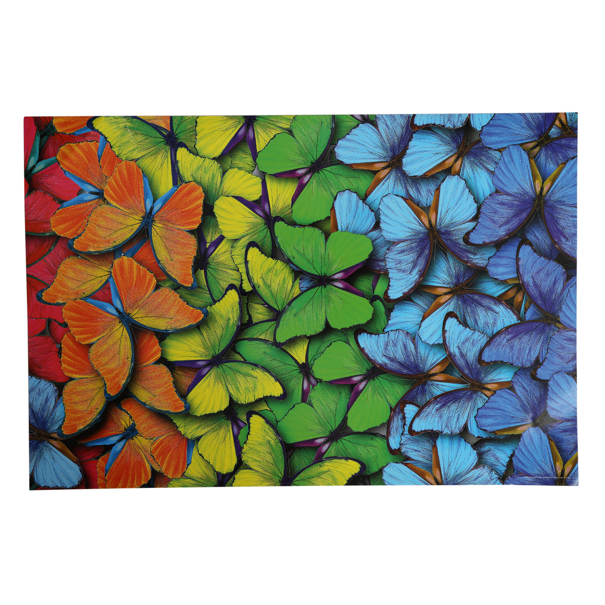 Rainbow Flutter 1000 Pieces Puzzle